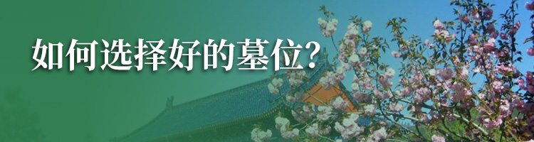安吉龙山源